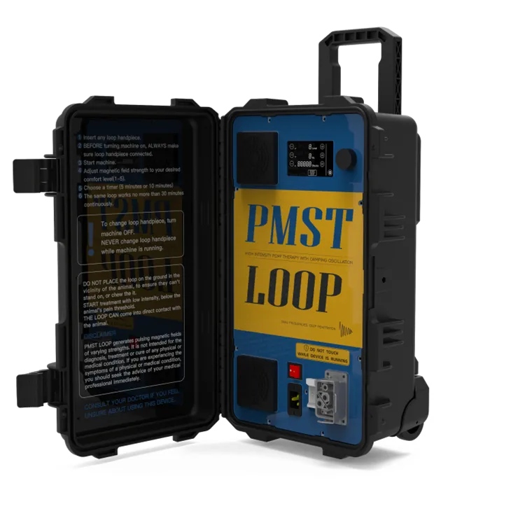 Pemf Physiotherapy Machine