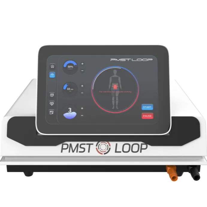 পিইএমএফ চৌম্বক