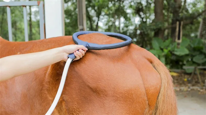 PEMF machine for animal PEMF machine for animal