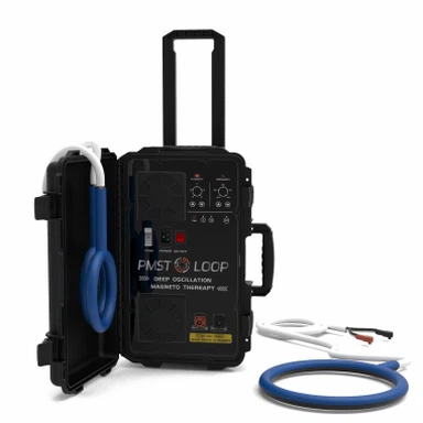 ঘোড়া PEMF মেশিন