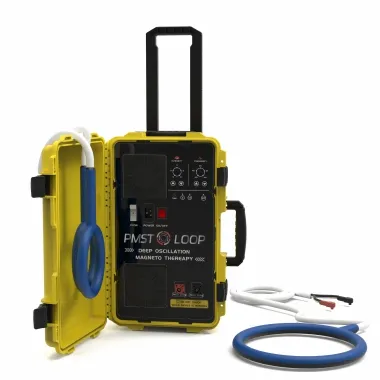 উচ্চ চালিত পিইএমএফ